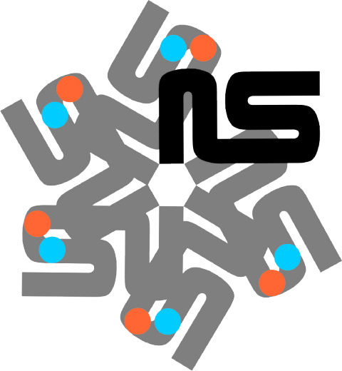 Logo IIS PSM